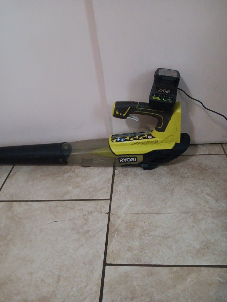 Sopladora Riobi Con Vateria Y Cargador