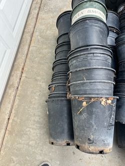 5 gallon pots $0.60 each