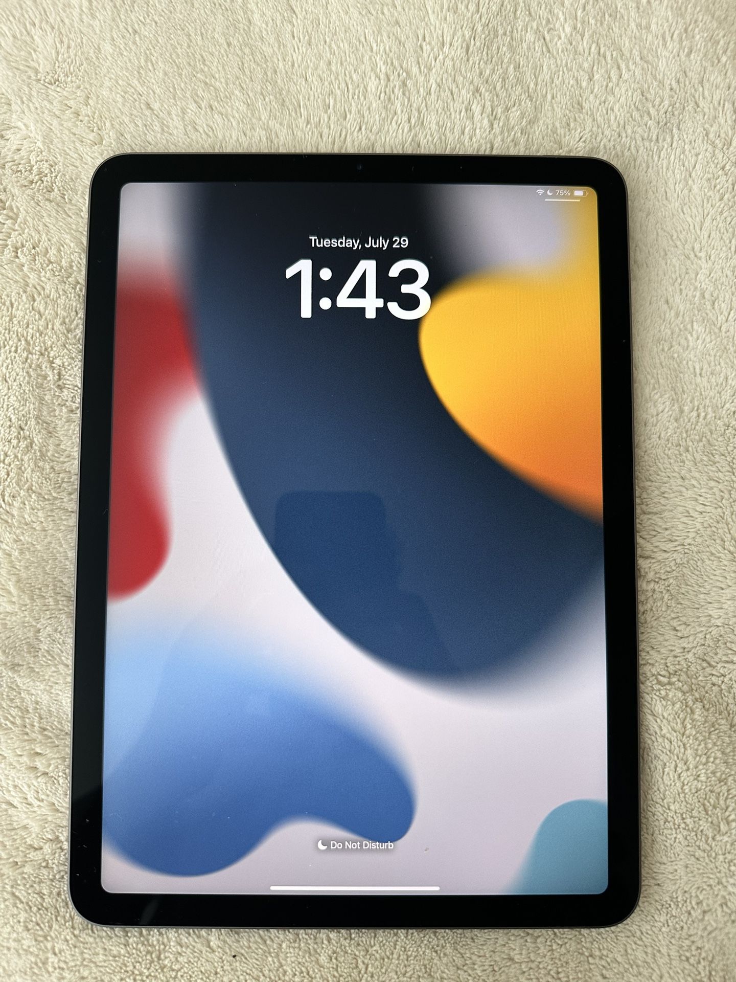 iPad Air 256gb (4th Generation)