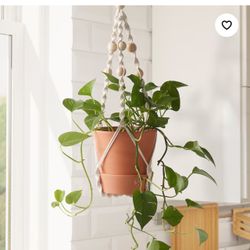 ikea plant hanger holder