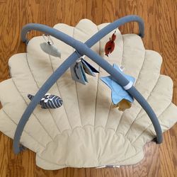 Baby/Newborn Gym Mat - Activity Mat - Play Mat