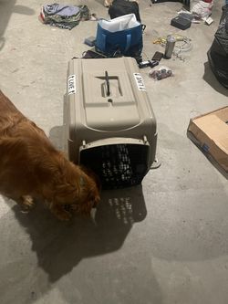 Dog Crate 
