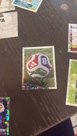 FIFA panini World Cup sticker