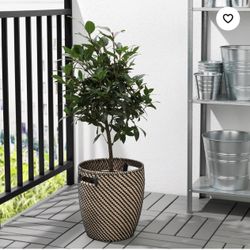 IKEA Plant Basket