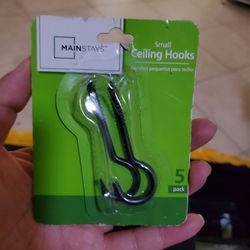 FREE Mainstays Small Ceiling Hooks 2-Pack