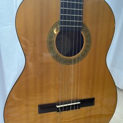 Acoustic guitar