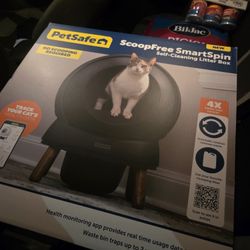 Kitty Litter Globe