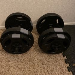Weights 17 Pounds Together