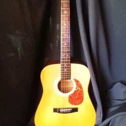 Tanara MIK Acoustic Guitar 