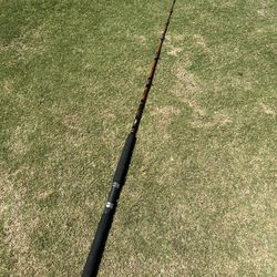 Saber CTS-665 C 20-50lb Fishing Rod 