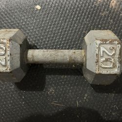 20 Pound Dumbell