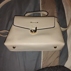 Handheld Purse