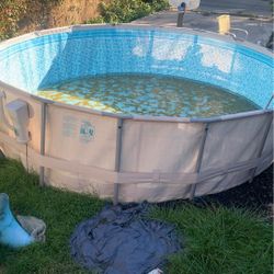 Junk Pool 16ft wide 4.5ft tall