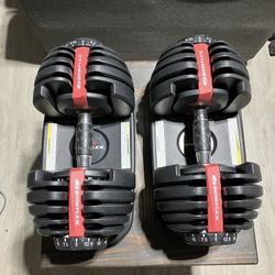Bowflex SelectTech 552 Adjustable Dumbbells