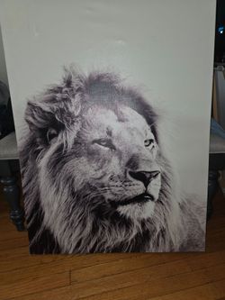Large Black and White Lion Canvas Wall Art and colored lion