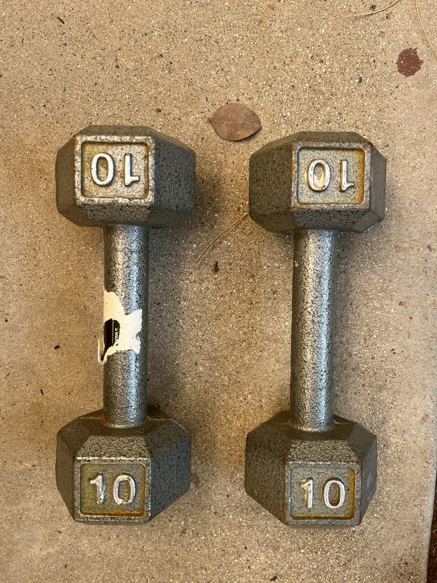 Dumbbells 10 Lbs