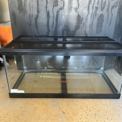 40 Gallon Terrarium 