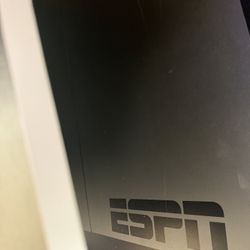 ESPN Ping Pong Table (FREE PICK UP ONLY)