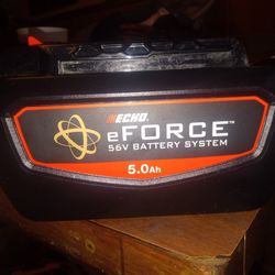 Echo E Force 56v