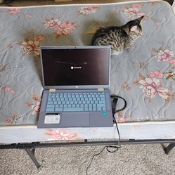 Rarely used h.p. chrome book