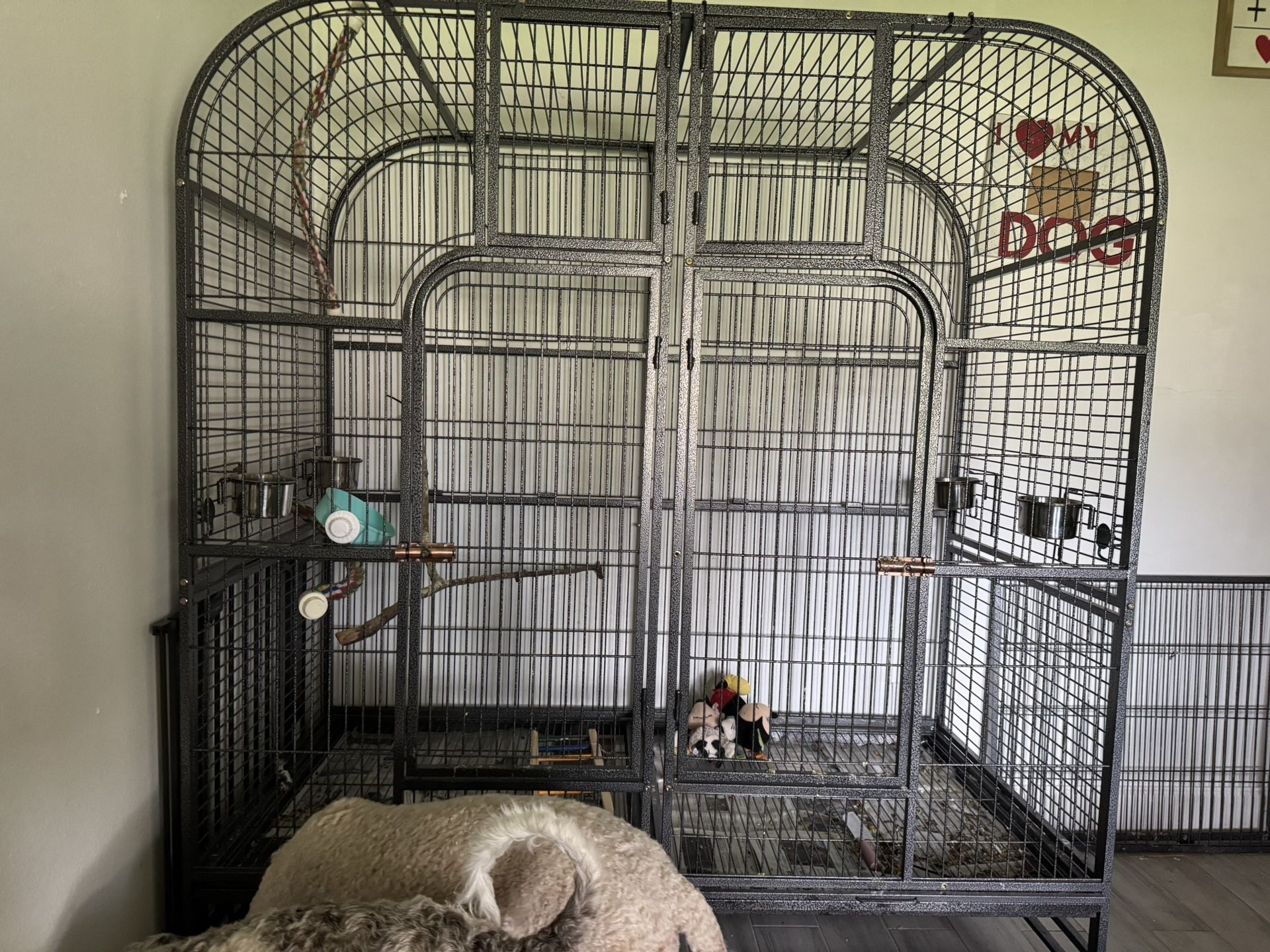 Double Cage