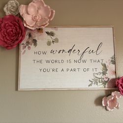 Babygirl nursery decor take all