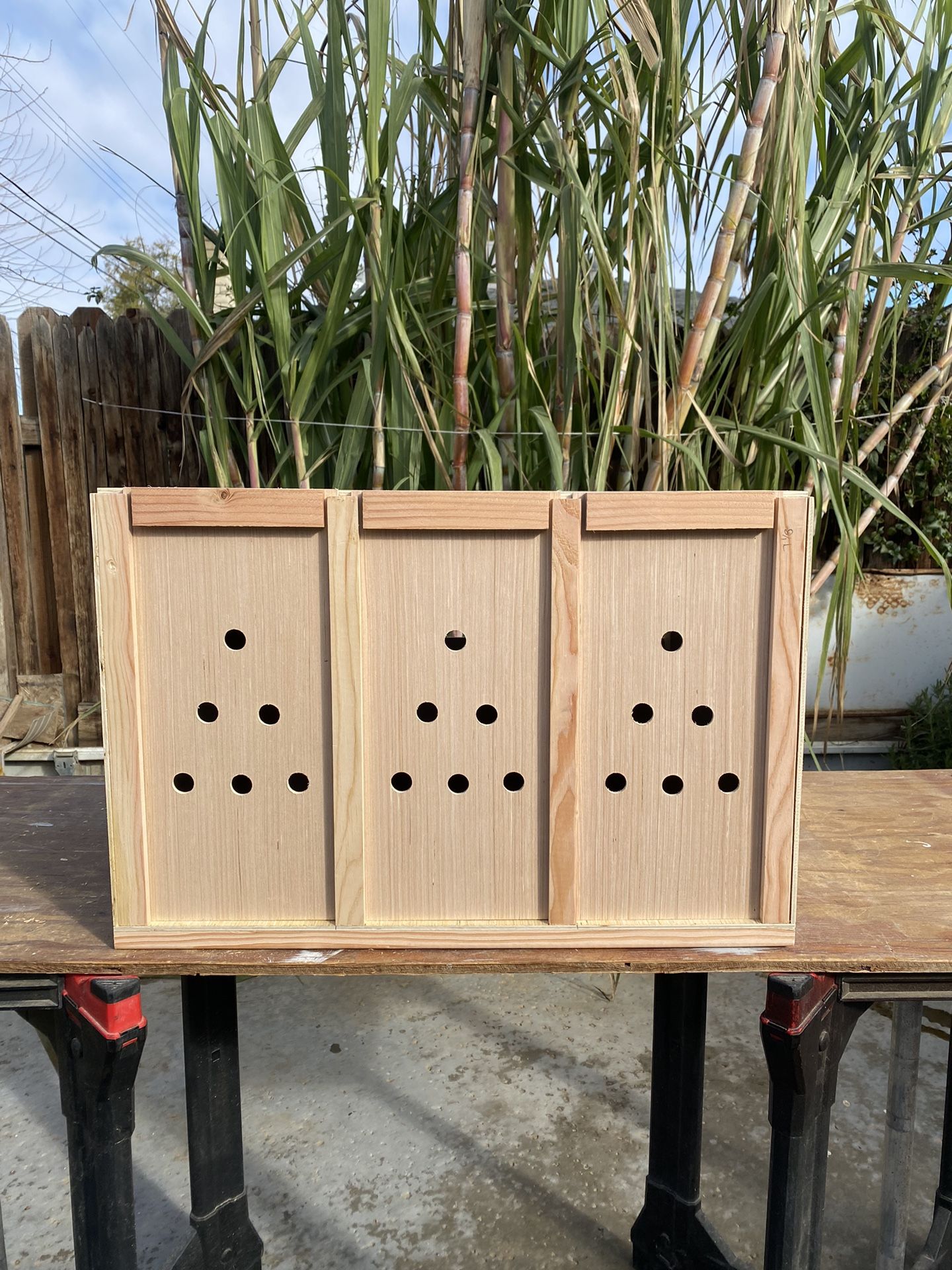 3 Stall Rooster Carrying Box