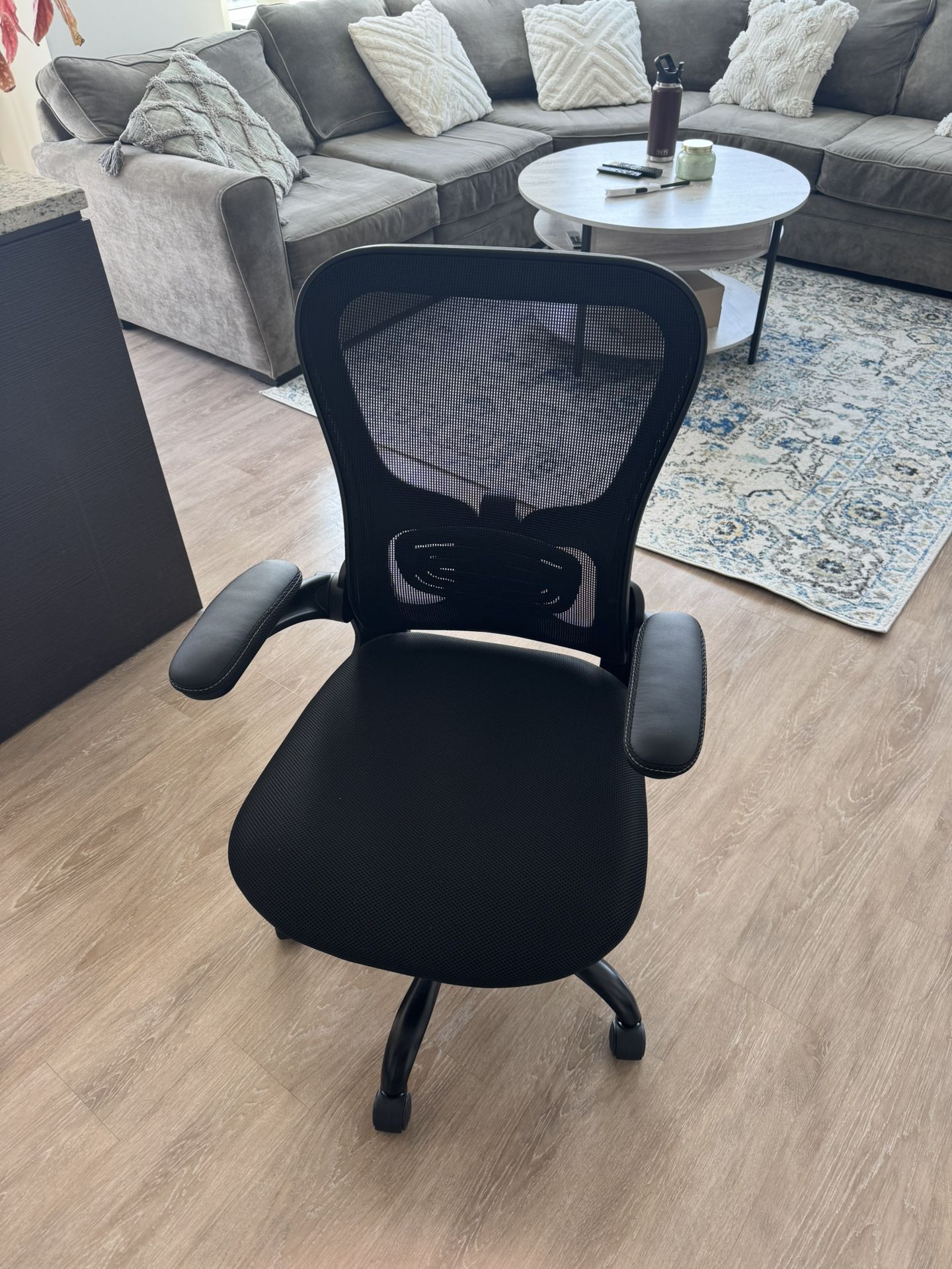 Entertainment Chair