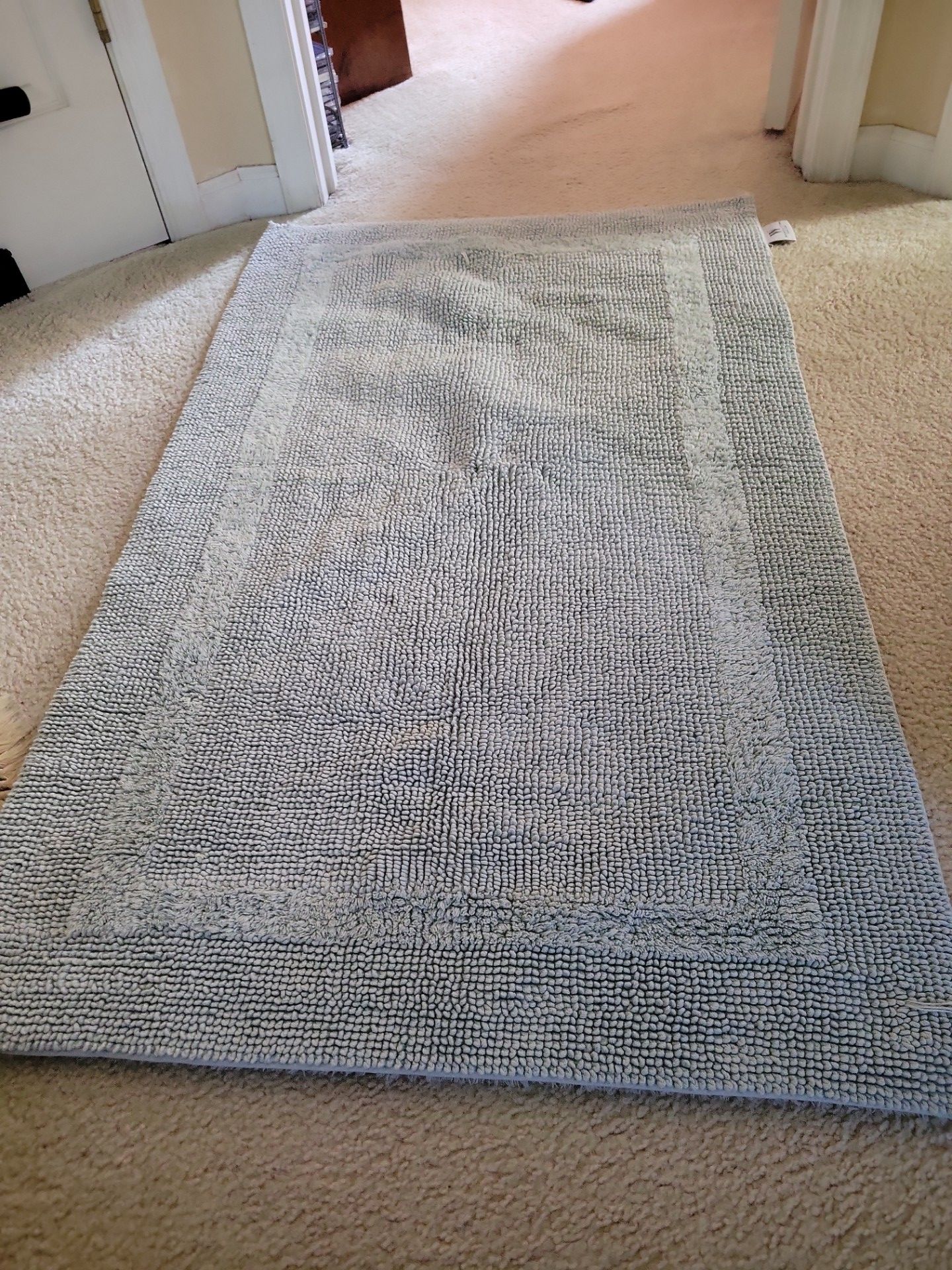 Bath room rug