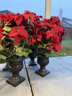 Christmas Decorations 30 Each 