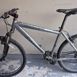 Specialized Men's Bike 19"