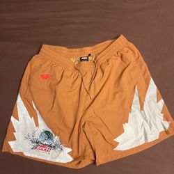 Cacti Shorts Travis Scott 