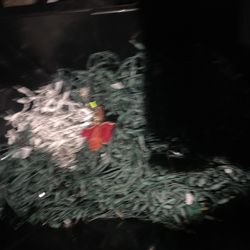 Christmas Lights