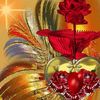 Camy