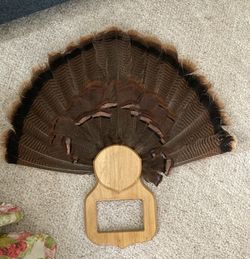 Turkey Tail Trophy