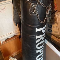 Punching bag