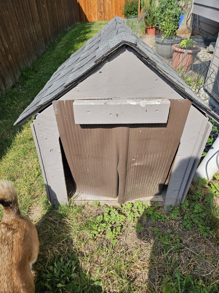 Dog House