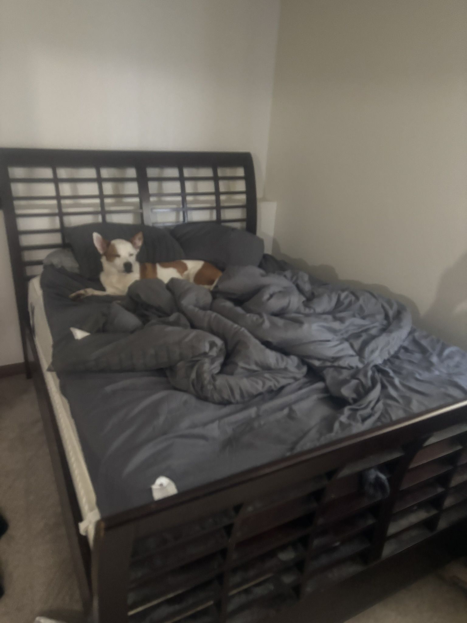 Bedroom Set Must Go