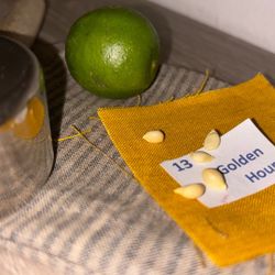 Key Lime Seeds