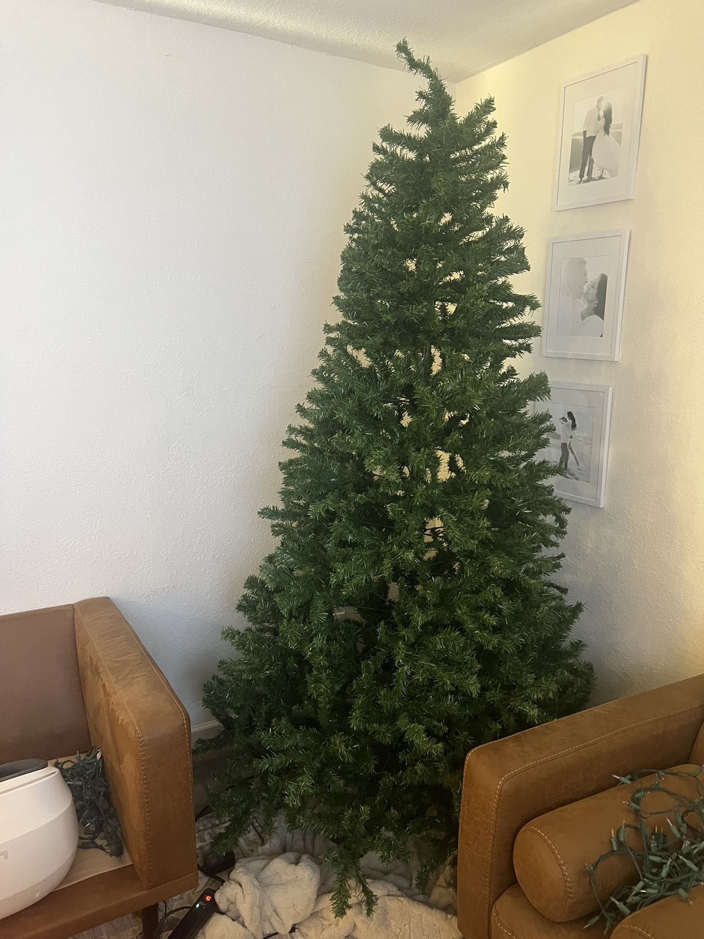 20 Christmas Tree Pick Up Only for Sale in Phoenix, AZ OfferUp
