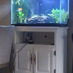 Fish Tank And Stand