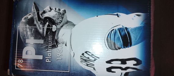 Tampa Bay Baseball Bobblehead