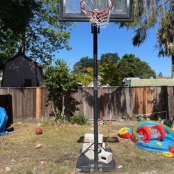 Basketball court