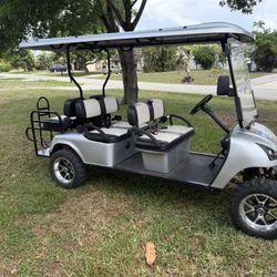 6 Person Royal EV Golf cart Street Legal 