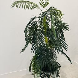 Faux Plant 5.5 Ft Tall 