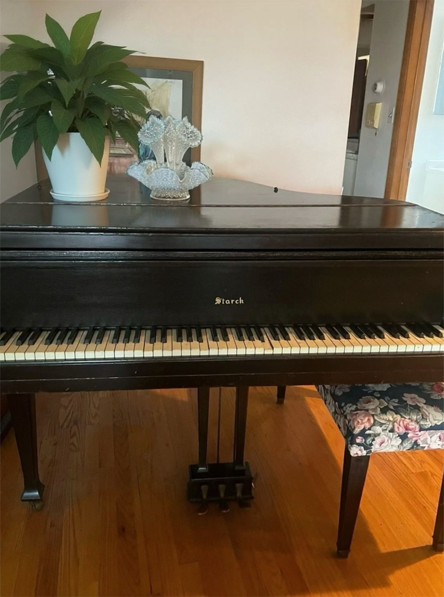 Stark Baby Grand Piano