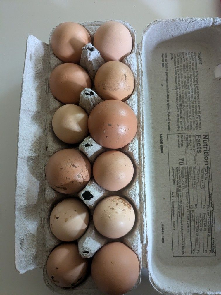Free Ranging Eggs
