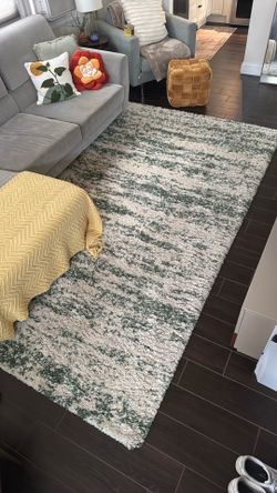 SAFAVIEH HUDSON SHAG RUG 8x10
