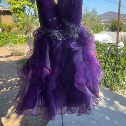 Dress Costume Princess Women’s Small Halloween 