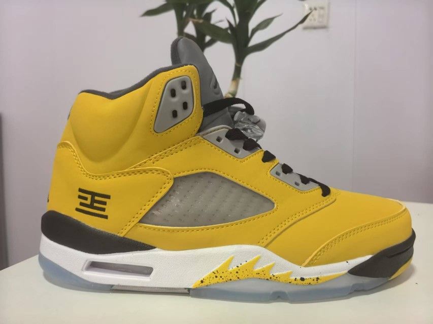 Air Jordan 5